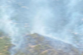 İzmir'de zeytinlik alanda çıkan yangın kontrol altına alındı