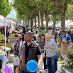 soke-de-priene-kultur-festivali-basladi-14512